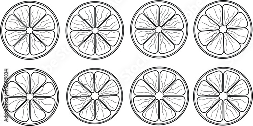 Lemon slice line art vector set. Detailed citrus cross sections in black outline style. Minimal fruit illustration collection.