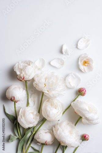 White peonies and buds composing a floral arrangement with scattered petals on a light background, symbolizing elegance and renewal
