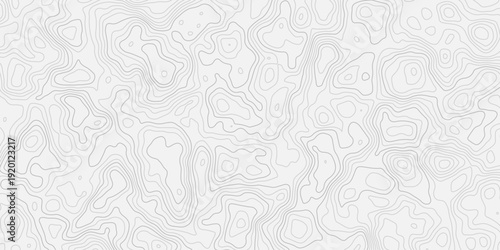 Continuous Elevation Contour Lines Seamless Design Inspired by Traditional Terrain Mapping Techniques
Natural Landscape Topographic Background with Smooth Geographic Line Structure