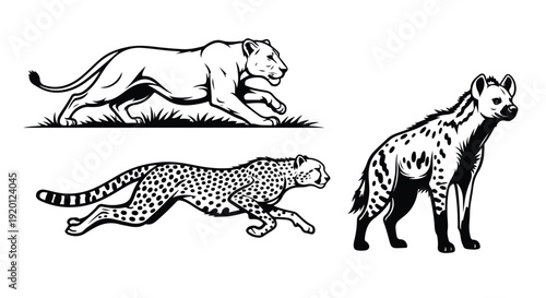 Black and white illustration of a lion, leopard, and hyena, showcasing wild carnivorous animals in a simple, graphic style against a clean white background.