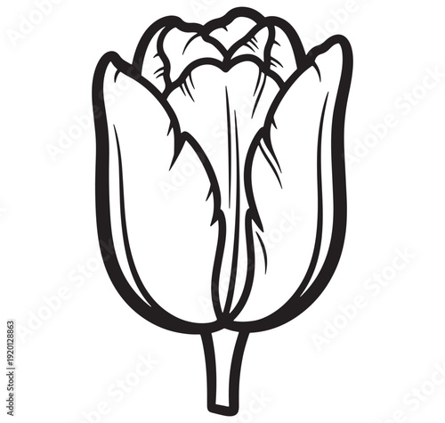 Bold black and white illustration of a closed tulip flower ready to bloom