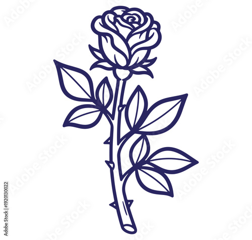 Elegant botanical illustration of a single rose bloom with detailed leaves and thorns