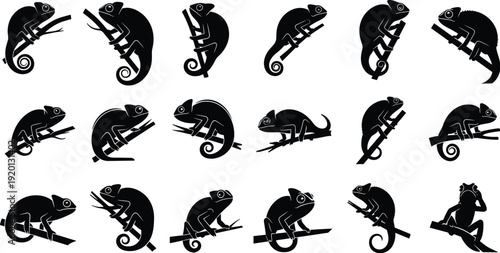 Set of black chameleon and frog silhouettes sitting on branches isolated on white background for wildlife 
