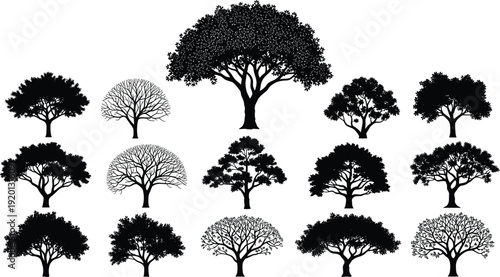 Set of black tree silhouettes including oak maple and deciduous species with detailed branches and leaves isolated on white background for landscape nature and forest design