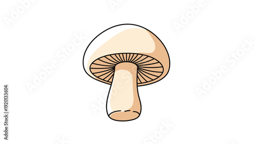Simple flat illustration of a common mushroom with a smooth brown cap and a sturdy beige stem on a clean white background.