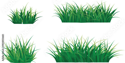Green grass vector set showing different lush grass patches, natural foliage elements isolated on white background for landscaping, ecology, nature design and illustration use