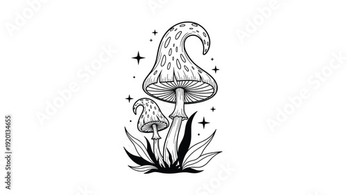Ornate black and white illustration of two mystical mushrooms with patterns surrounded by stars and leaves for fantasy art.