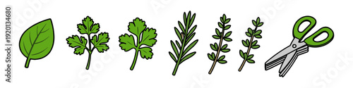Collection of fresh herbs and kitchen scissors, perfect for culinary use and design