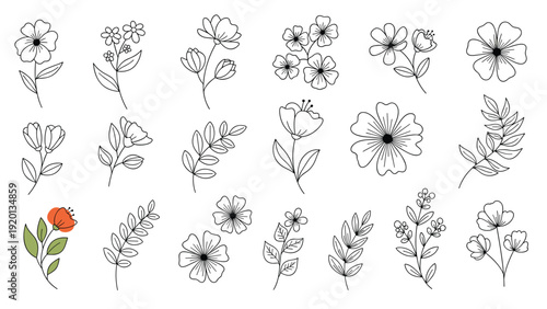 Sheet of various simple black and white line art illustrations of flowers, leaves, and stems for botanical study or design.