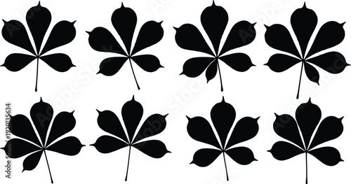 Horse chestnut leaf silhouette vector set, autumn buckeye foliage collection, organic nature plant elements, tree leaves icons for seasonal fall design projects,