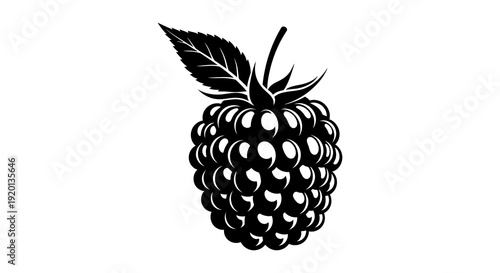 A detailed black and white illustration of a ripe blackberry with a single leaf attached