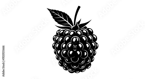 A striking black and white illustration of a ripe raspberry with detailed textured surface high quality