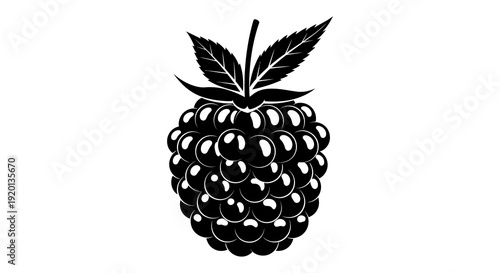 A stylized black and white illustration depicts a plump raspberry with detailed textured surface high quality