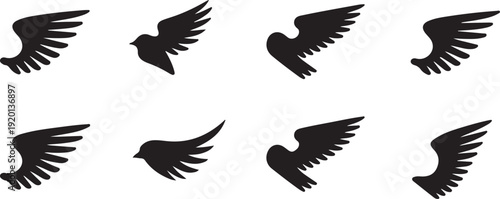 wing icon set vector silhouettes right facing 8 designs