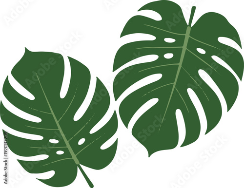 monstera leaf jungle botanical emblem sticker logo badge vector