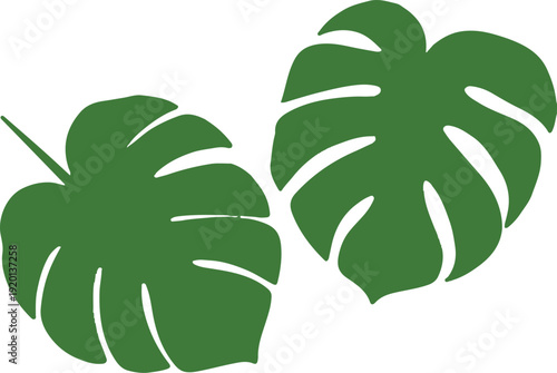 monstera leaf vector tropical foliage flat illustration for decor