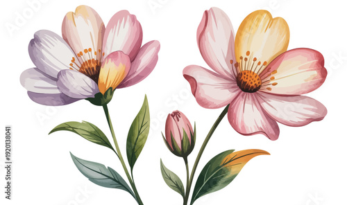 Soft watercolor spring blossoms featuring delicate pastel shades and graceful blurred edges, creating a dreamy artistic botanical illustration for various design projects