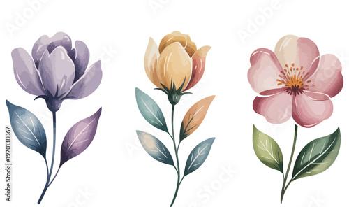 Delicate watercolor floral collection featuring an array of enchanting spring blossoms, showcasing soft pastel hues and artistic brushstrokes for elegant design elements