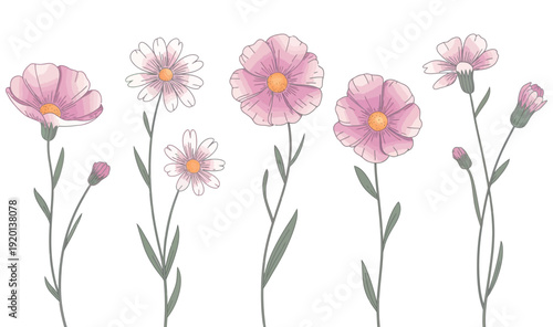 Delicate pink and purple spring flowers with soft pastel hues and watercolor textures, ideal for charming botanical designs, greeting cards, or elegant backgrounds and creative projects