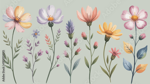 Soft Pastel Floral Collection Artistic Wildflowers and Delicate Blooms for a Dreamy Spring Aesthetic