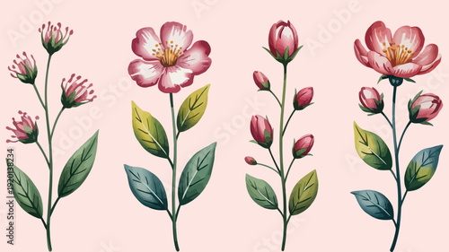 Exquisite collection of hand-painted watercolor spring flowers, featuring soft botanical blossoms and delicate leaves, ideal for elegant designs and dreamy illustrations