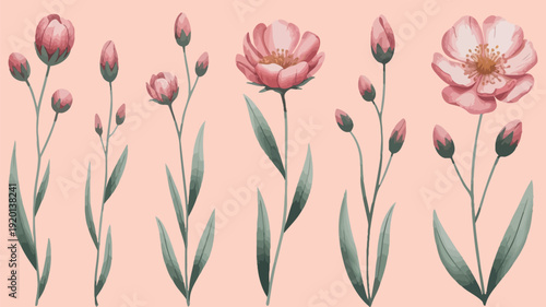 Watercolor painting of delicate pink flowers and buds with green stems and leaves, set against a soft blush pink background, perfect for spring designs