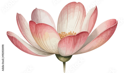 Delicate watercolor lotus flower illustration with soft pink petals, embodying serene natural beauty and artistic grace. Ideal for peaceful and inspiring design projects