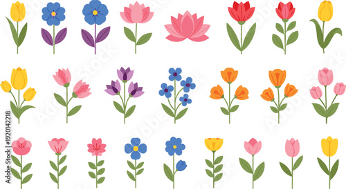 Colorful spring flower set with tulips, lotus and simple flat botanical designs