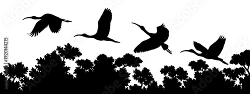 Black silhouette illustrations of scarlet ibises flying over tropical trees isolated on transparent background