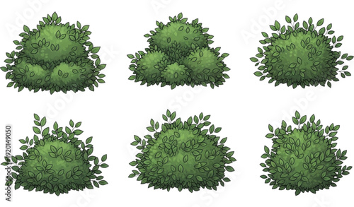Hand-drawn green bush vector set with detailed foliage isolated on white background for garden, landscaping, and botanical design