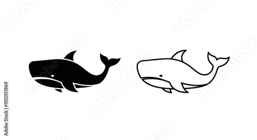 Whale and dolphin illustration, vector art of marine mammals, black and white drawing Vector