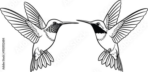 Black line art vector set of two realistic hummingbirds in flight with spread wings and detailed feathers for nature wildlife and bird branding