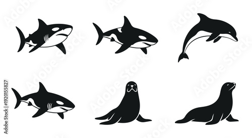 Silhouettes of carnivorous marine mammals including orcas, dolphins, and seals against a clean white background.