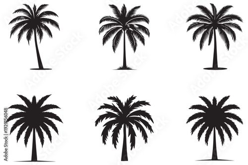 Set Of Six Black Palm Tree Silhouettes tropical nature