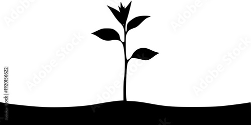 A minimalist black and white illustration of a small young plant emerging from soil