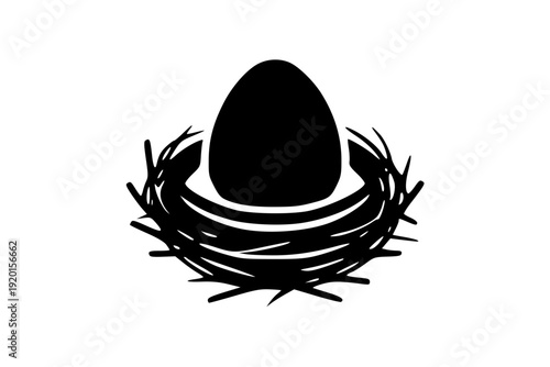 A black egg nestled in a simple twig nest against a plain background