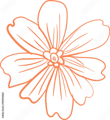 Beautiful hand drawn flower illustration with delicate petals and lines