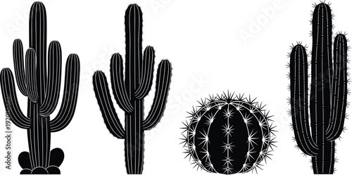 Cactus silhouette collection desert succulent plants black vector illustration botanical set