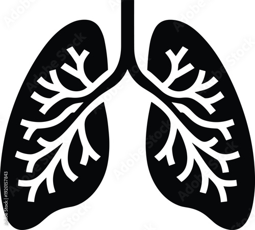 Black and white of human lungs with branching bronchi respiratory system anatomy