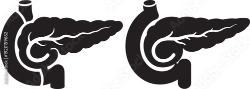 Silhouettes of two pancreas organs, showing detailed structure for medical illustration or educational purposes in black and white.