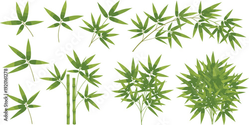 Green Bamboo Leaves and Branches Collection with Tropical Asian Plant Elements for Nature Design, Zen Garden Decoration, Spa Branding, and Botanical Background.