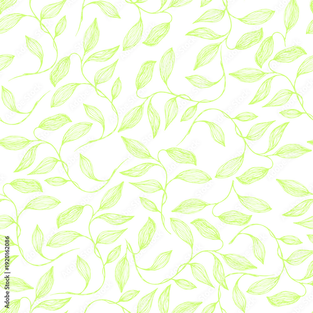 Φωτογραφία Young spring leaves