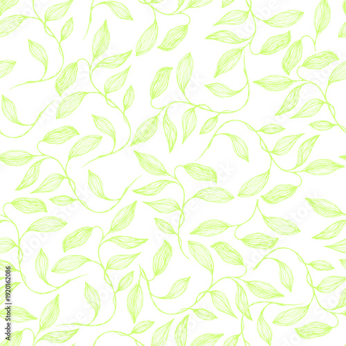 Young spring leaves. Willow branch summer leaves floral vector seamless pattern. Thin contour twig veins doodle. Organic sallow foliage summer motif. Abstract stylized tree leaves endless pattern.