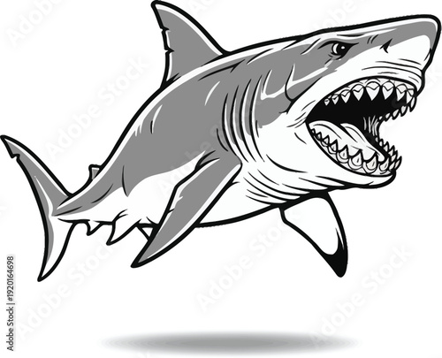 Fierce Shark Black and White Vector Illustration, Aggressive Ocean Predator Line Art