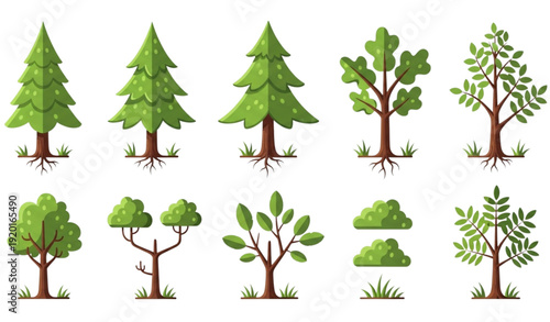 Flat cartoon tree and bush vector set including pine, fir, oak, elm, and ash isolated on white background for game and educational design
