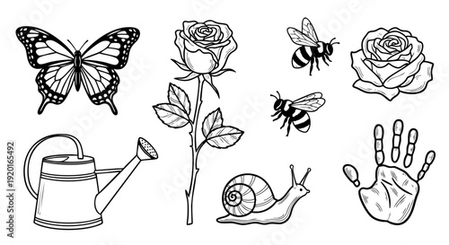 Vector outline illustrations of various nature and garden elements, a concept set for spring themes, featuring flora, fauna, and tools