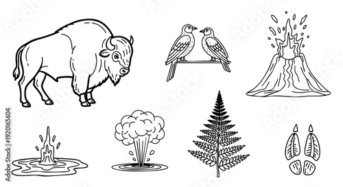 A vector illustration set of nature and wildlife line art icons featuring a bison, erupting volcano, geyser, birds, fern leaf, and animal tracks