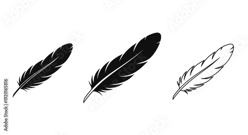 Three different feather designs, black and white feather drawing, feather sketch Vector