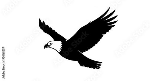 Black silhouette of an eagle in flight with white head wings spread wide on plain background