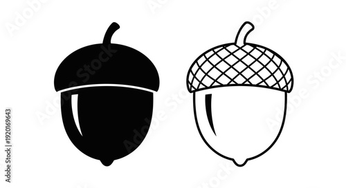 Two acorn illustrations, black and white, minimalist design, vector art Vector